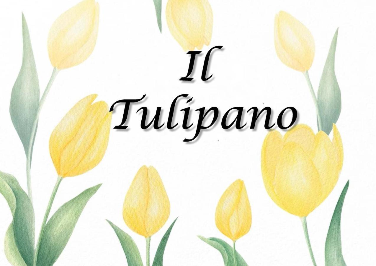Apartamento Il Tulipano Trezzano Rosa Exterior foto